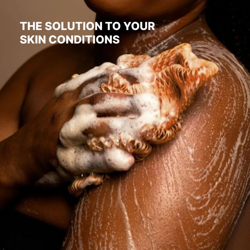 African Exfoliating Net Sponge
